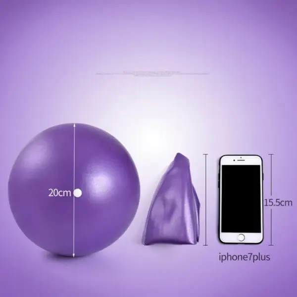 25cm Yoga Ball Exercise Gymnastic Fitness Pilates Ball Balance Exercise Gym Fitness Yoga Ball Indoor Training Yoga Ball Core - Image 5