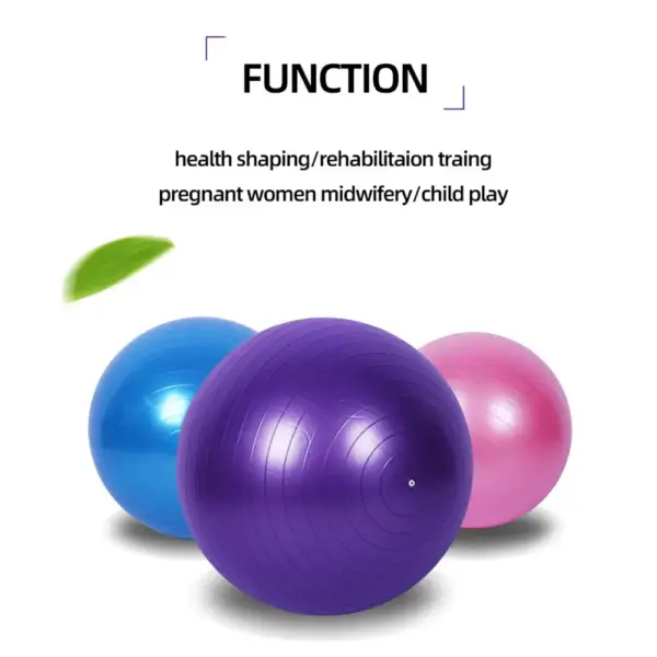 PVC Fitness Balls Yoga Ball Thickened Explosion-proof Exercise Home Gym Pilates Equipment Balance Ball 45cm/55cm/65cm/75cm/85cm - Image 2